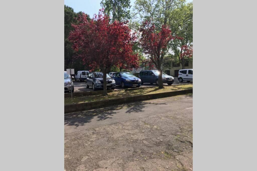 Bel Appartement Avec Vue Et Parking Prive Béziers Dış mekan fotoğraf